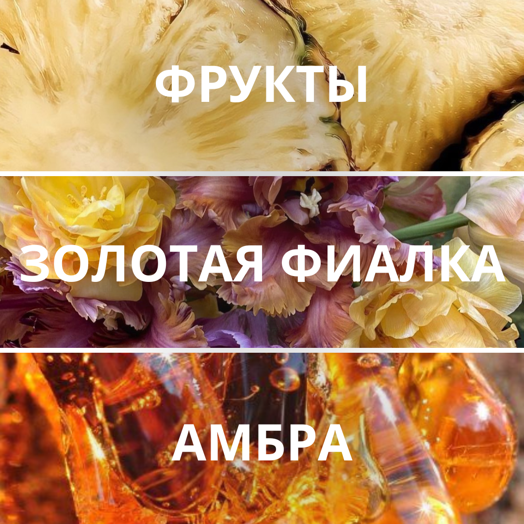 Набор «Цветочные открытия»