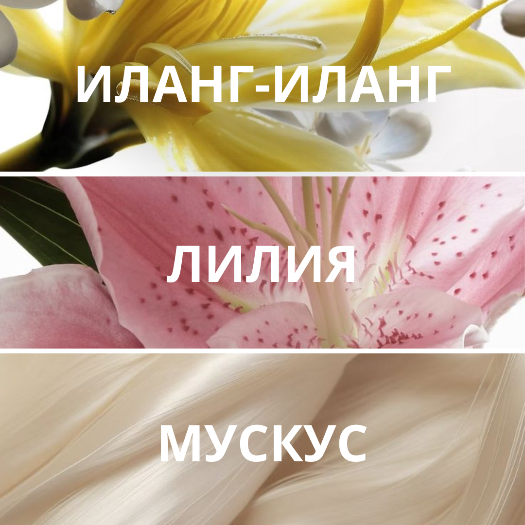 Demon du Ciel, парфюмерная вода, 1,5 мл