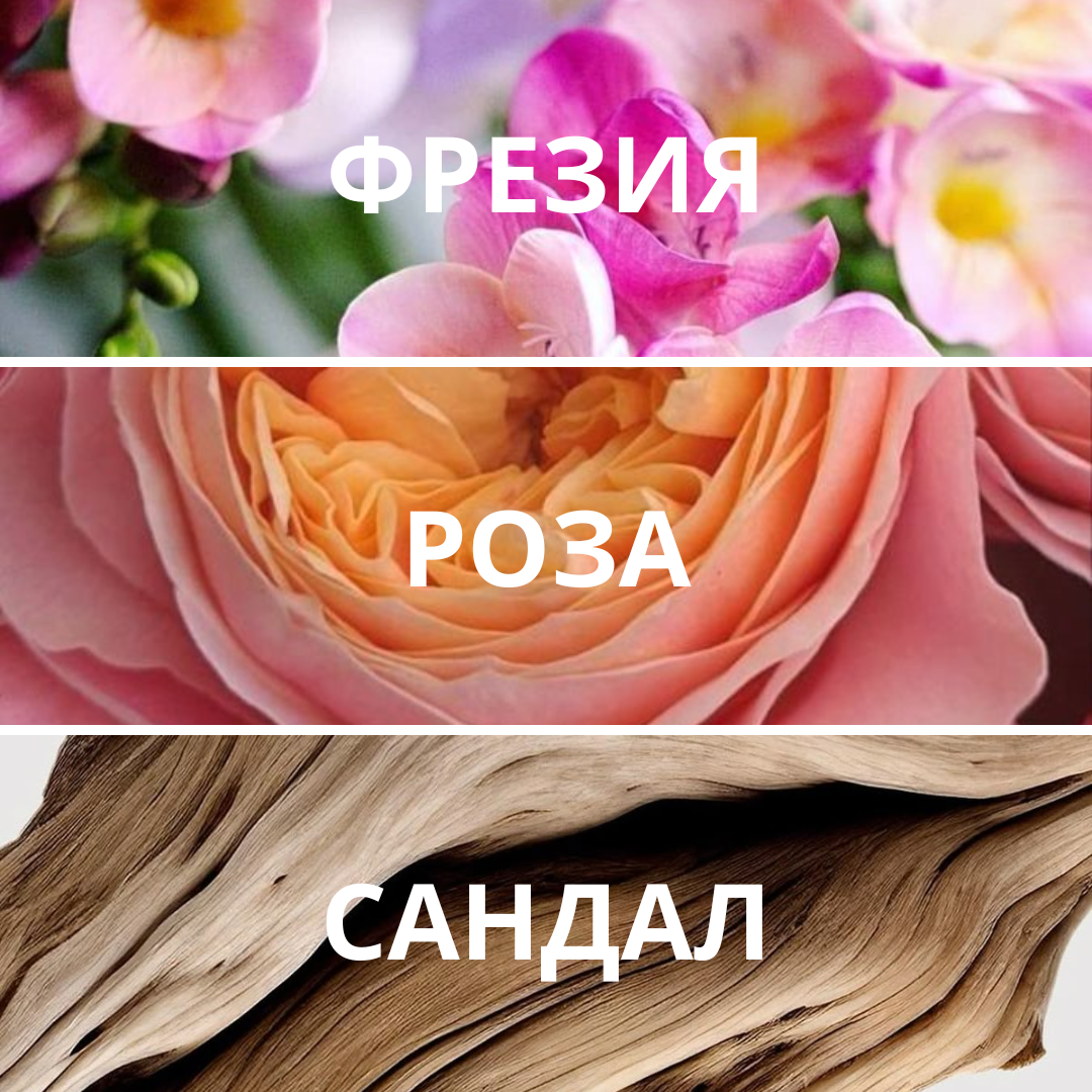 Набор «Цветочные открытия»