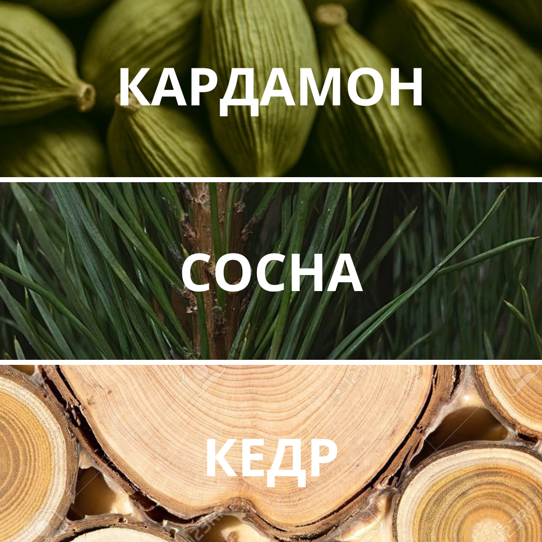 L’essence de Taiga, духи-концентрат