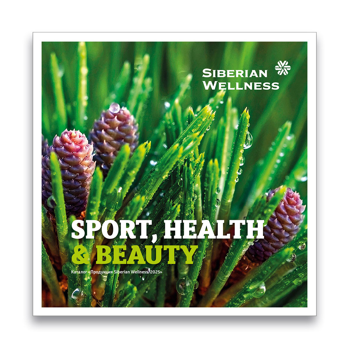 Каталог SPORT, HEALTH & BEAUTY 2025