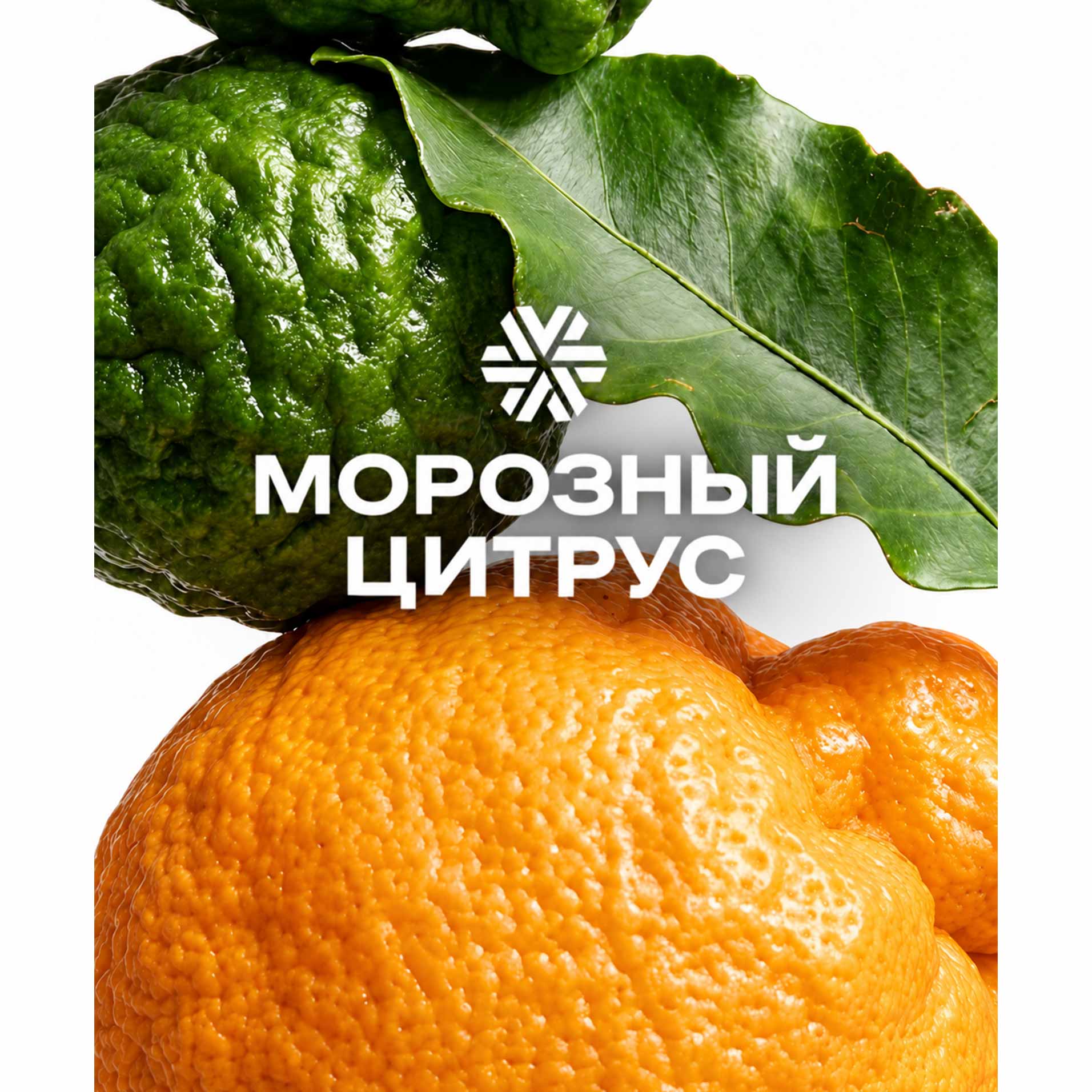 Морозный цитрус, ароматическая свеча из натурального воска