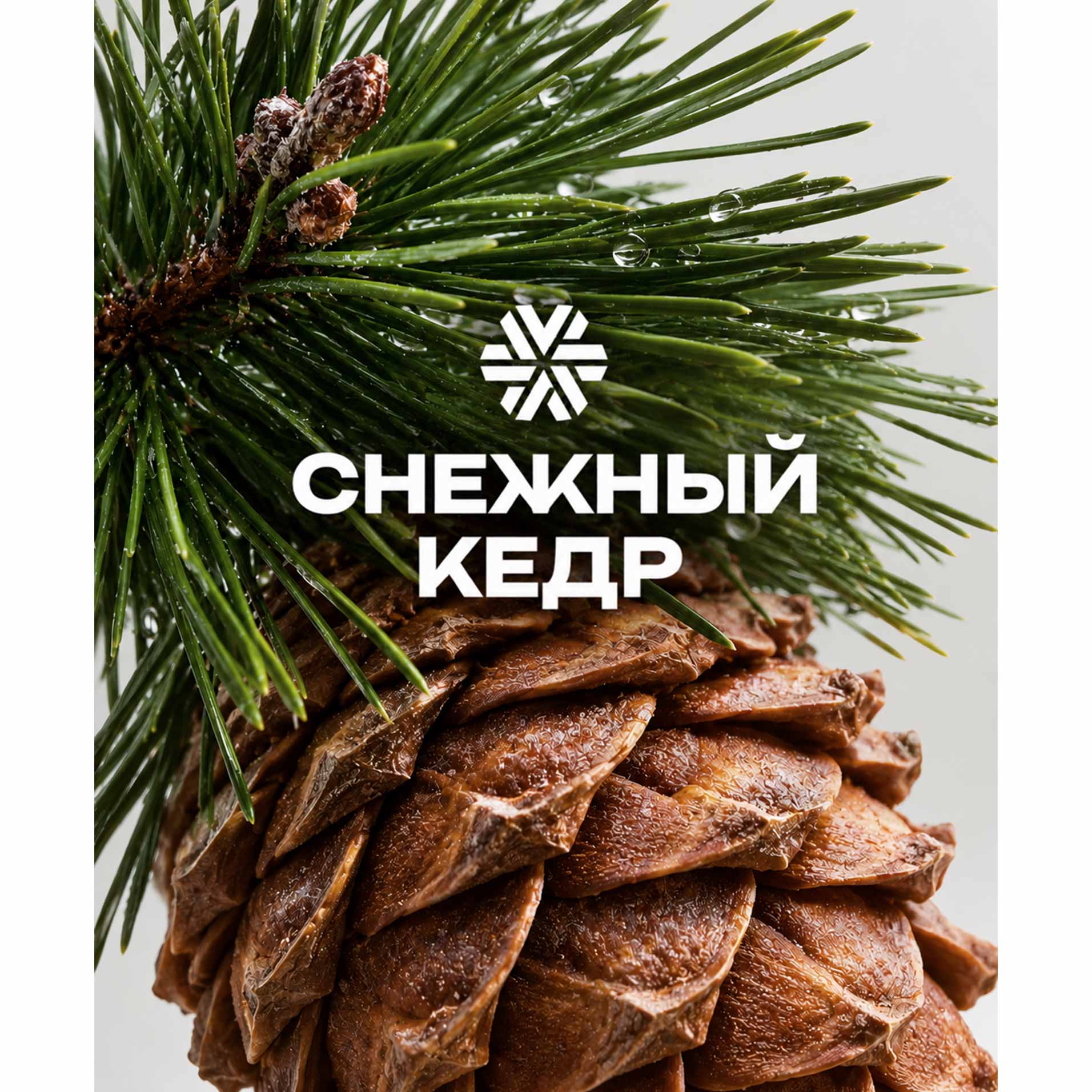 Снежный кедр, ароматическая свеча из натурального воска
