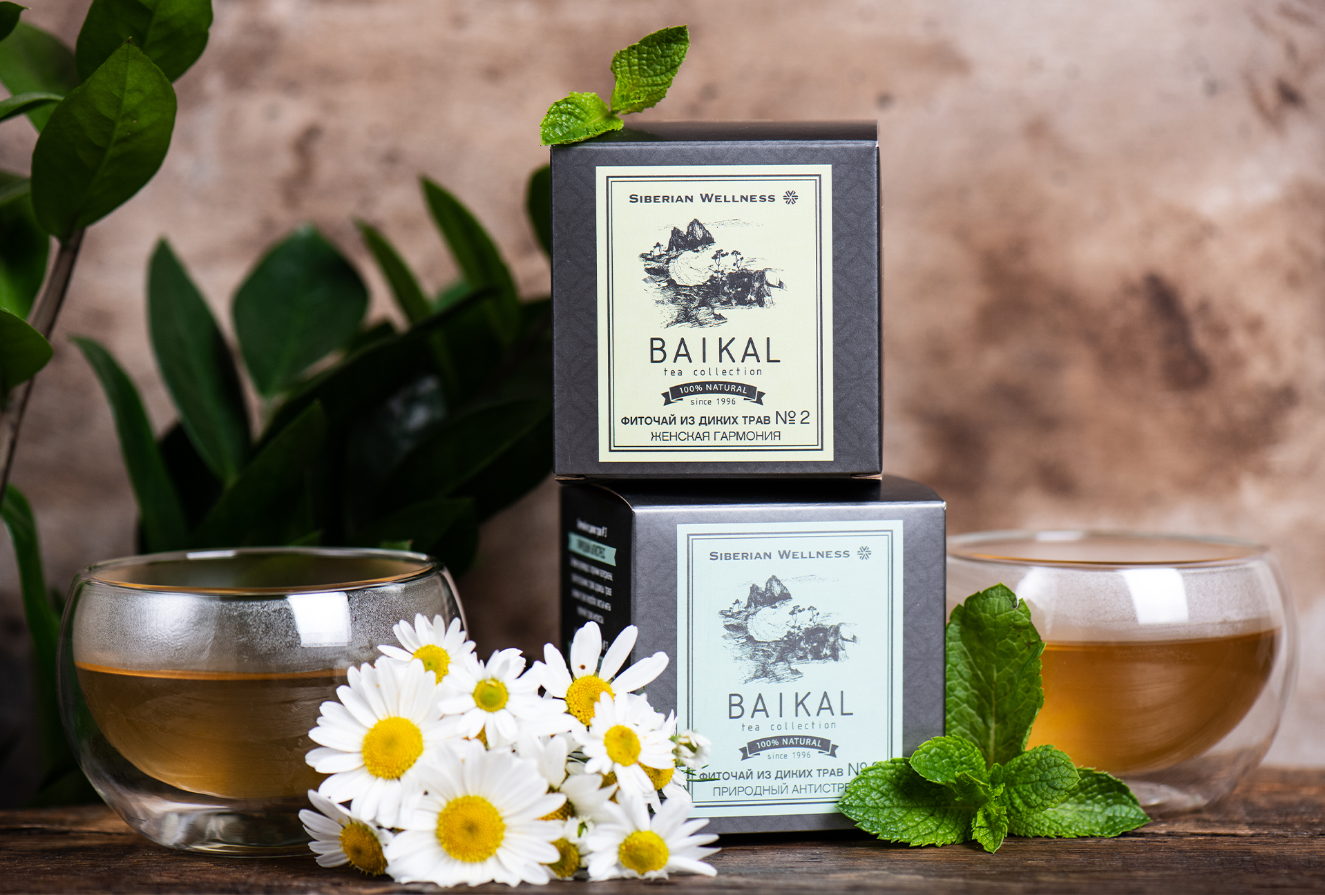 Baikal Tea Collection: чай с сибирскими травами – наполнись силой дикой природы!